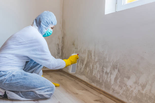 Mold inspector in Louisville performing thermal imaging
